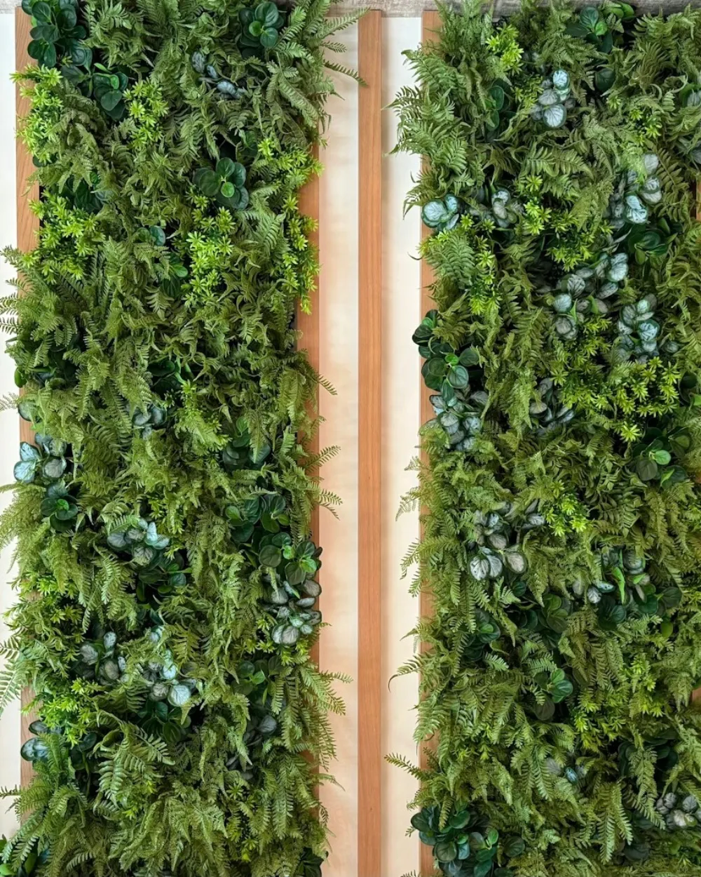 Paneles decorativos con plantas